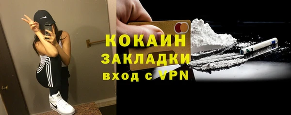 гидра Балахна